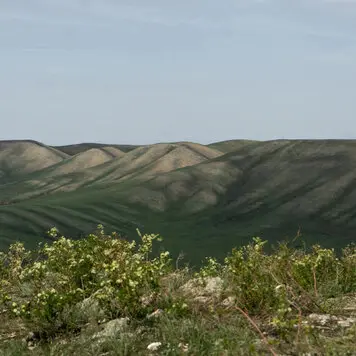 Долгие горы Оренбуржья⛰️  Поднимались на Нос-гору у Кондуровки, а потом проехав километров 10 в сторону п. Сунарчи, свернули к роднику и оттуда поднялись на безымённую вершину.- 2